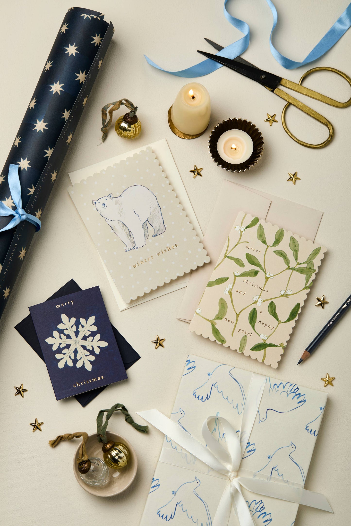 Mistletoe 'Merry Christmas' Card